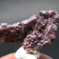 Rare Gem Proustite Cluster From Morocco - 1.2" - 8.64 Grams