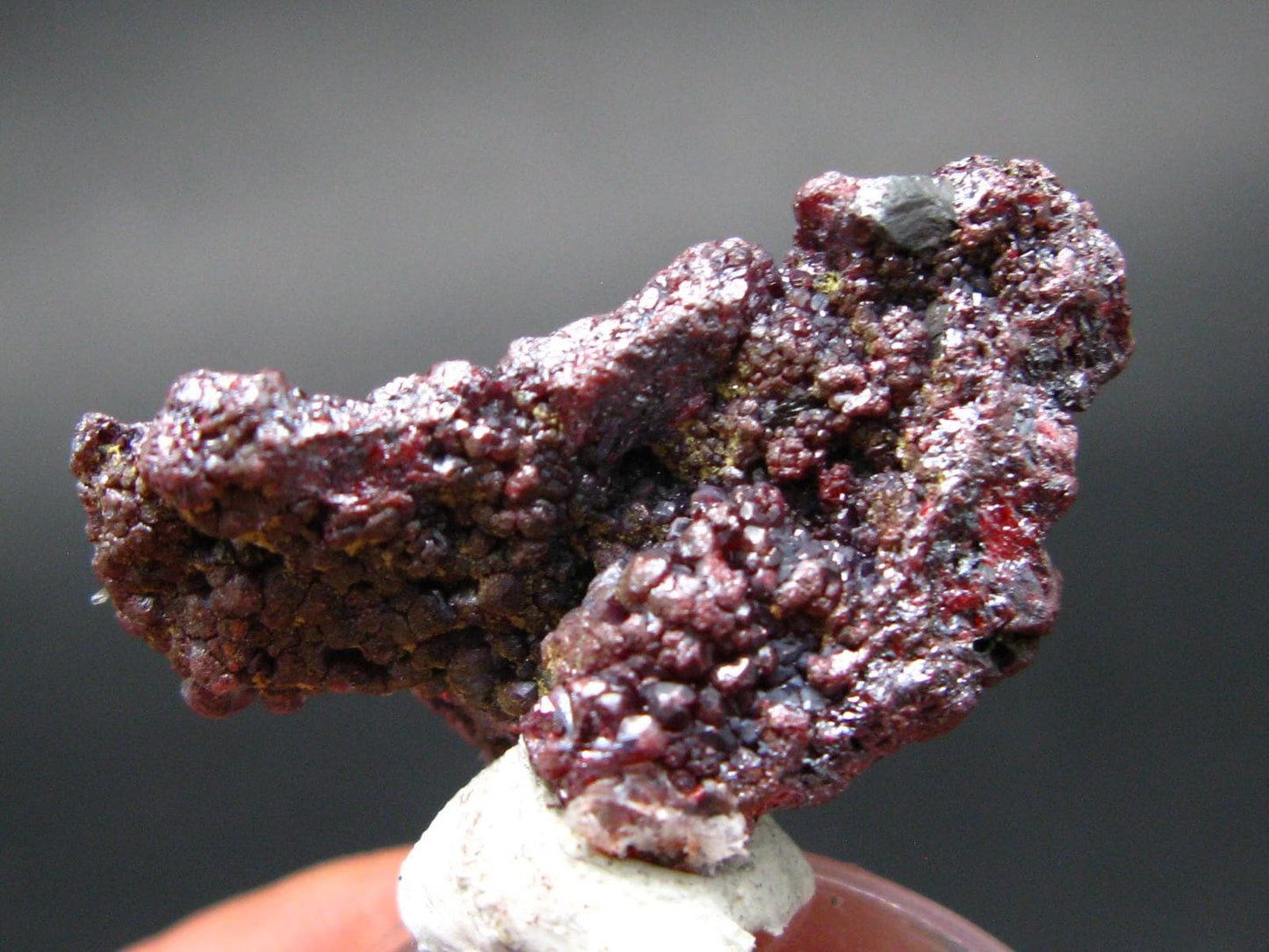 Rare Gem Proustite Cluster From Morocco - 1.2" - 8.64 Grams