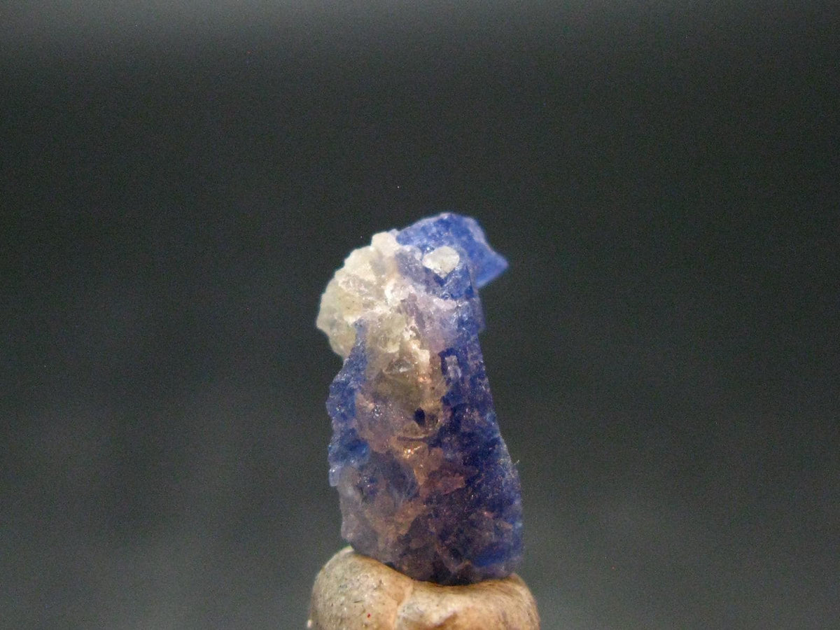 Fine Rare Carletonite Crystal From Mt. St. Hilaire Canada - 0.6" - 0.82 Grams