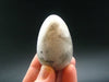 Moonstone Egg from India - 2.0"