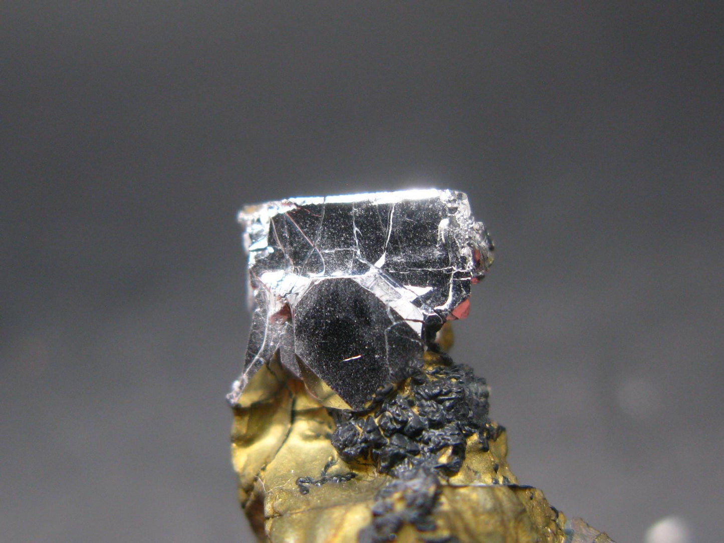Sperrylite Crystal On Matrix From Russia - 1.3" - Huge 12mm Crystal