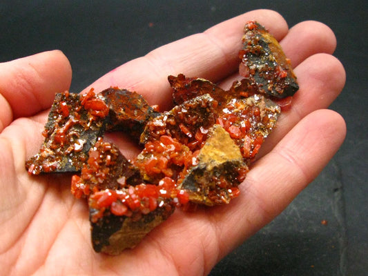 Lot of 10 Dark Red Vanadinite Cluster From Morocco - 37.80 Grams