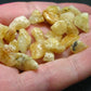 Lot of 25 Tumbled Heliodor (Yellow Beryl) Crystals from Brazil - 62.95 Carats