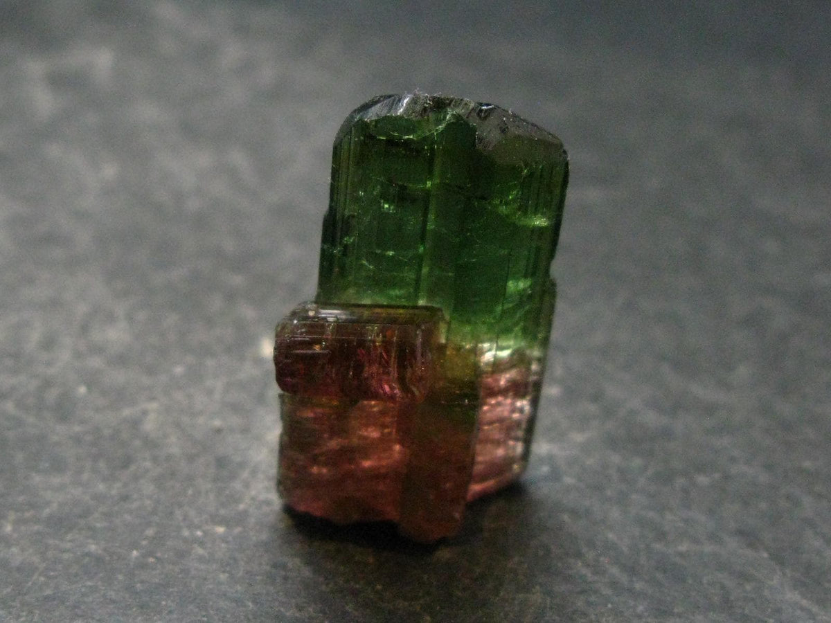 Rare Watermelon Tourmaline Crystal From Brazil - 1.1"