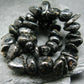 Nuumite Nuummite Genuine Bracelet ~ 7 Inches ~ 10mm Tumbled Beads