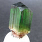 Rare Watermelon Tourmaline Crystal From Brazil - 1.0" - 49.55 Carats