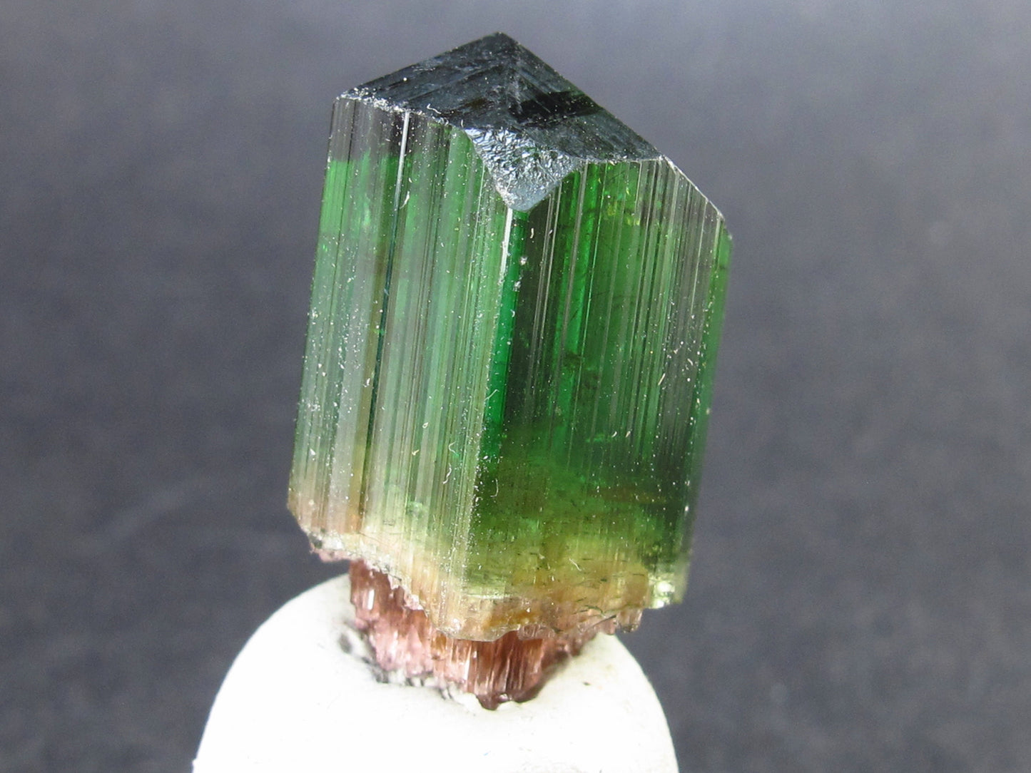 Rare Watermelon Tourmaline Crystal From Brazil - 1.0" - 49.55 Carats