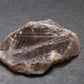 Fine Axinite Crystal from Russia - 0.9" - 2.08 Grams