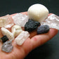 Synergy 12 Set Phenakite Moldavite Natrolite Petalite Danburite Tektite Scolecite Herderite Tanzanite Brookite 80.35 Gr