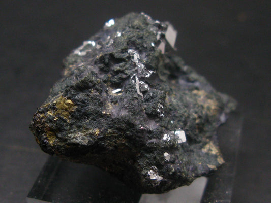 Sperrylite Crystals On Matrix From Norilsk Russia - 1.5" - 10+ Crystals