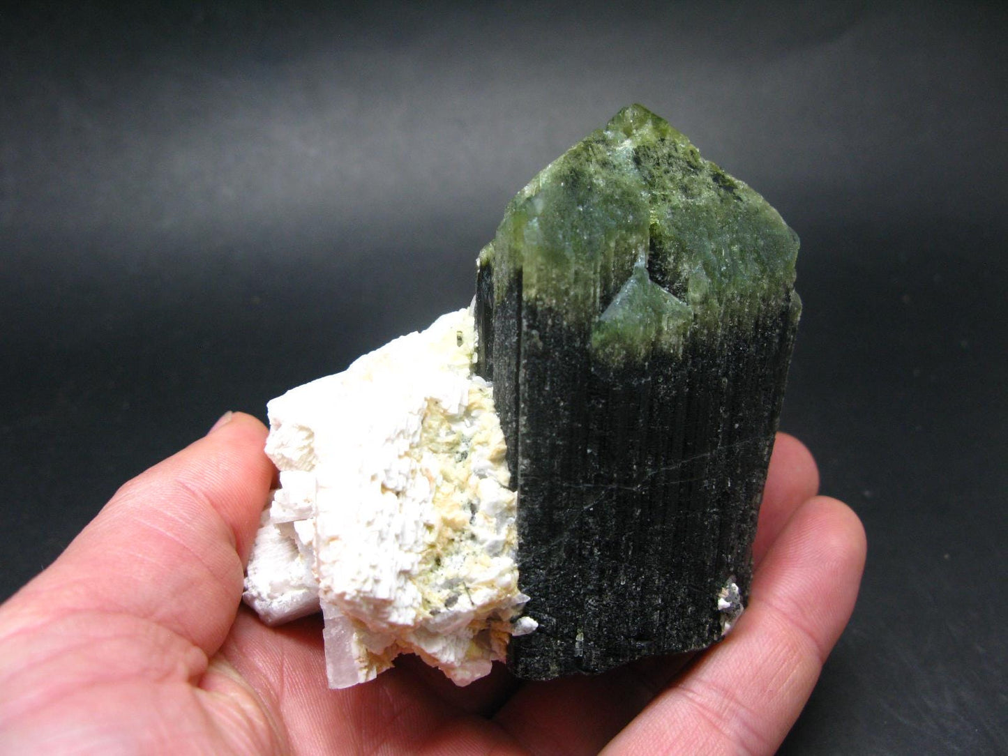 Green Tourmaline (Vanadium Dravite) Crystal on Albite From Tanzania - 3.5" - 416 Grams