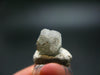 Phenakite Phenacite Crystal From Brazil - 1.27 Grams - 0.3"
