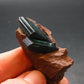 Vivianite Crystal From Bolivia - 2.0" - 20.0 Grams