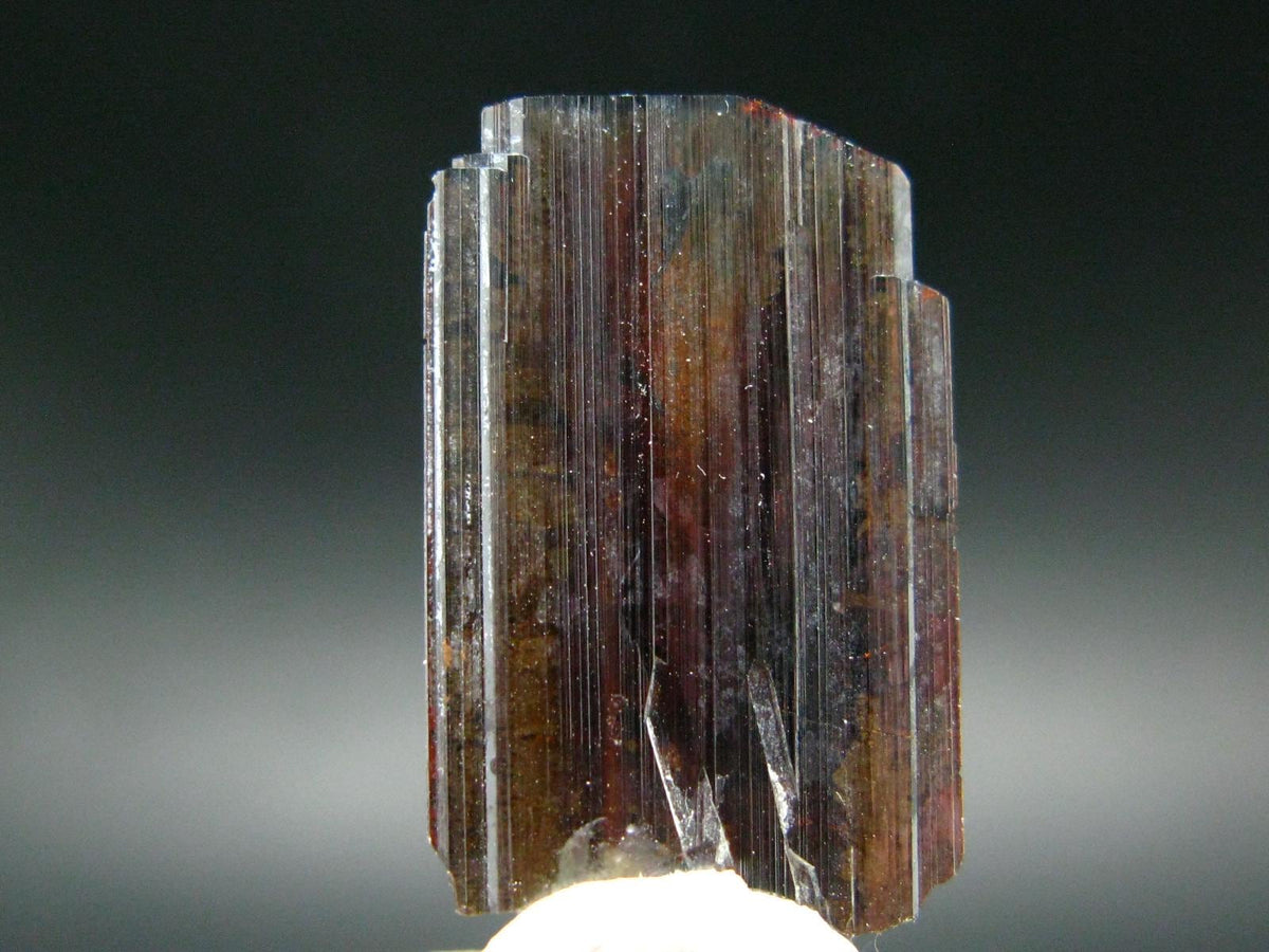 Large Brookite Crystal From Pakistan - 1.40 Grams - 26 mm