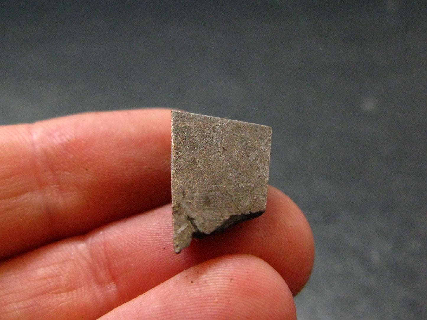 Large Gibeon Meteorite From Namibia - 0.6" - 5.94 Grams