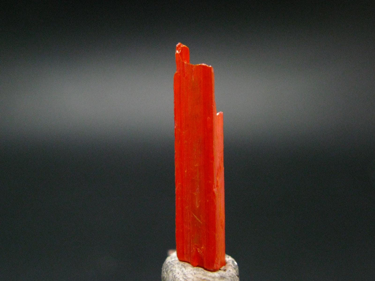 Large Orange Crocoite Crystal From Australia - 0.1" - 5.80 Carats