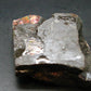 Ammolite Ammollite Fossil From Alberta Canada - 2.6" - 92.83 Grams
