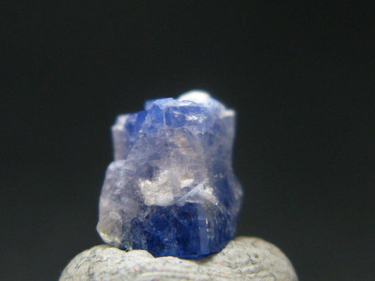 Fine Rare Carletonite Crystal From Mt. St. Hilaire Canada - 0.4" - 0.64 Grams