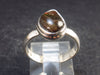 Ammolite Amolite Sterling Silver Ring From Canada - 3.0 Grams - Size 6