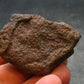 Rare Chondrite Stone Meteorite From Africa - 1.8" - 31.85 Grams