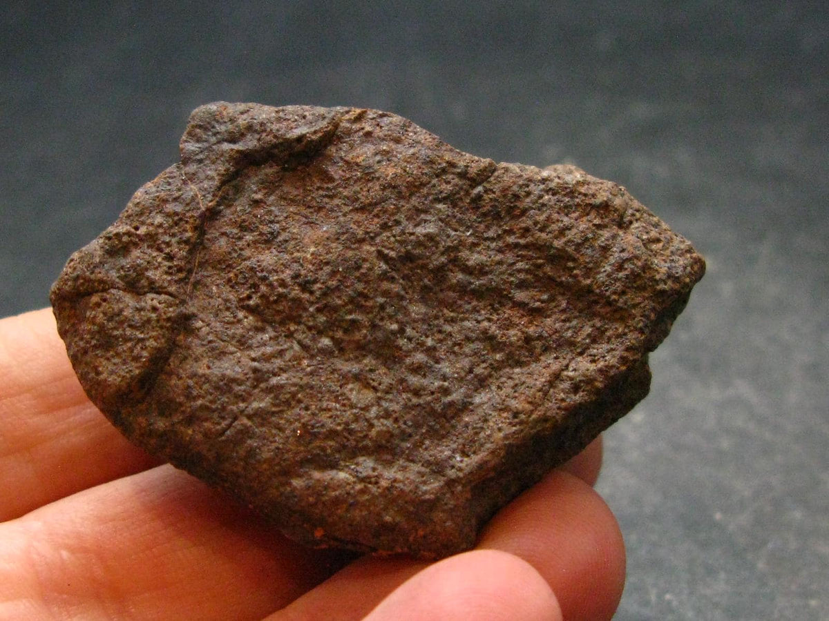 Rare Chondrite Stone Meteorite From Africa - 1.8" - 31.85 Grams