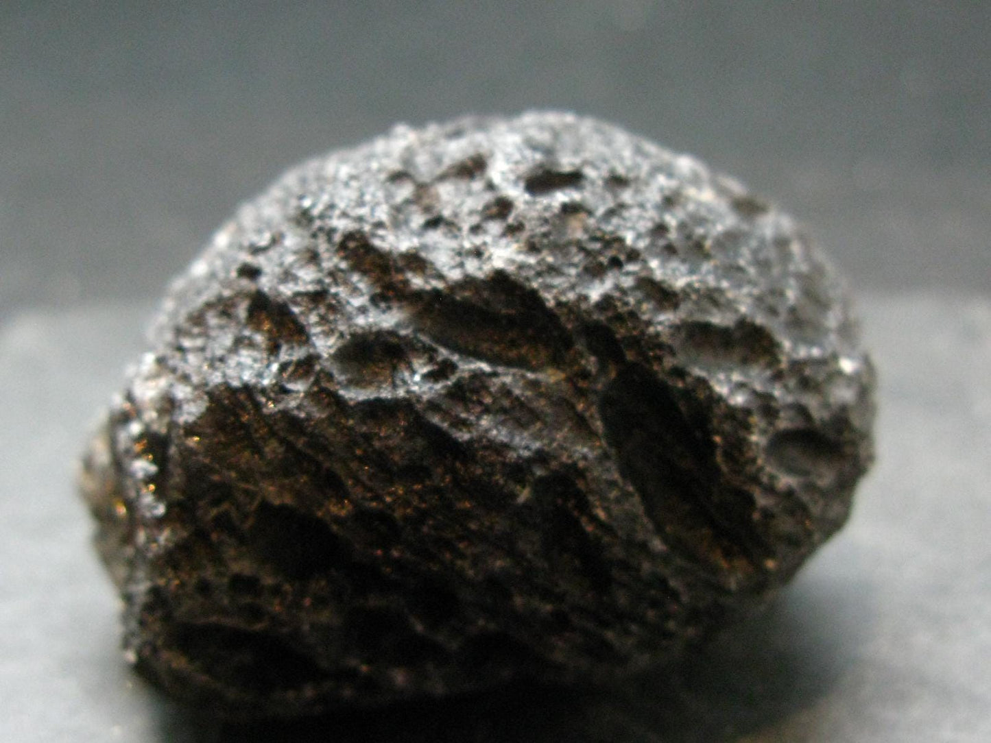 Cintamani Stone from Indonesia - 2.0"