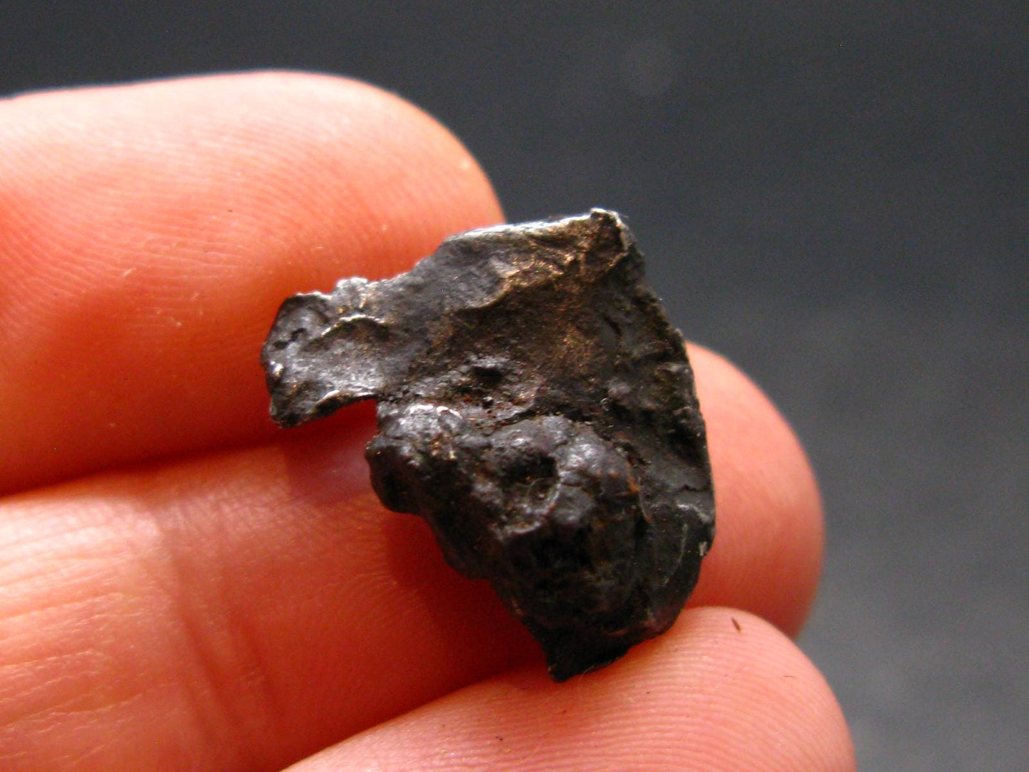 Sikhote Alin Meteorite From Russia - 2.40 Grams - 0.6"