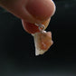 Rare Large Pezzottaite Pink Beryl 925 Silver Pendant from Madagascar - 4.85 Carats - 0.7"