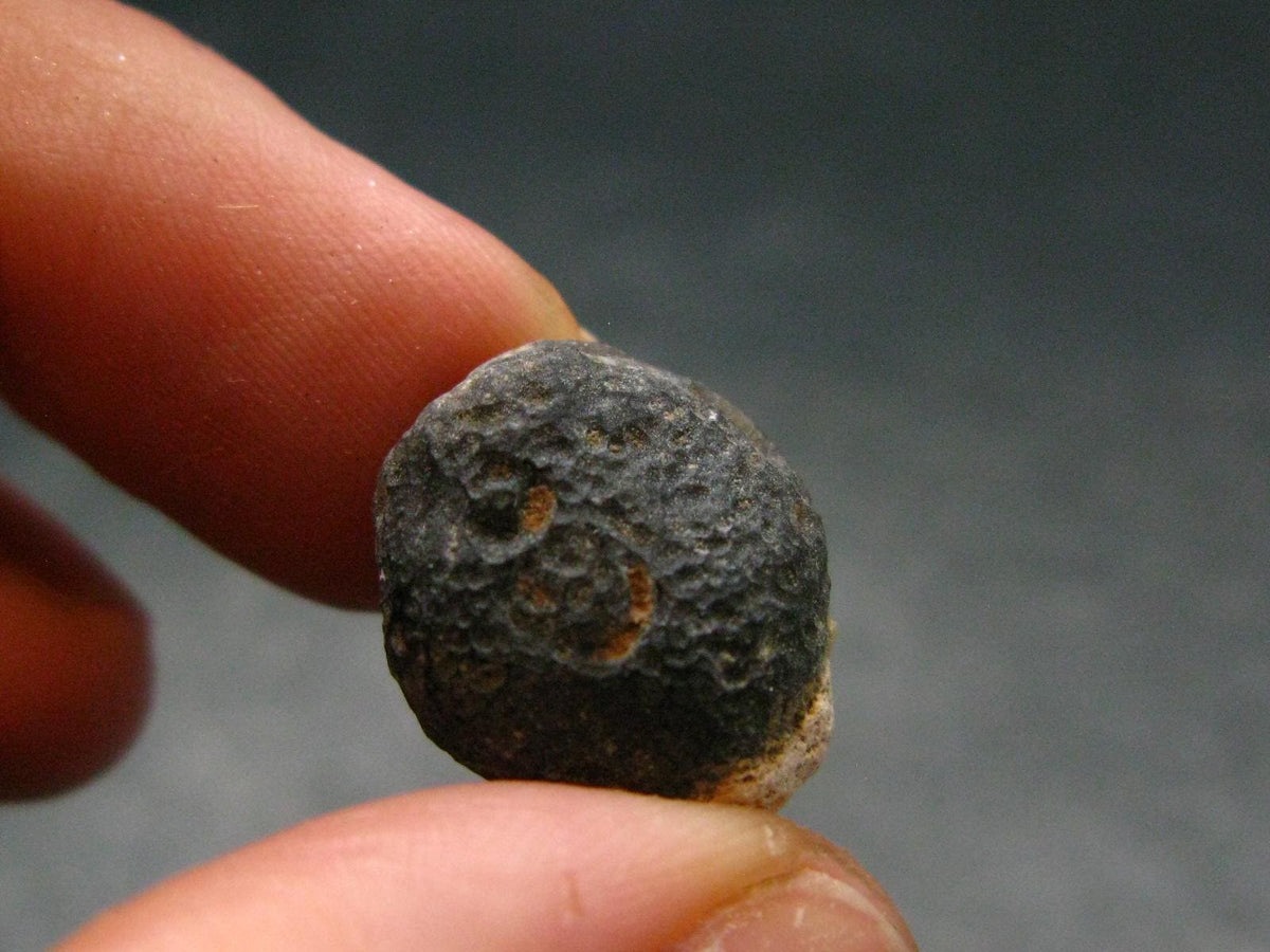 Rare Saffordite Cintamani Stone Pseudotektite Piece from Arizona USA - 10.50 Carats - 0.6"