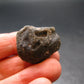 Meteor Splash Glass!! Fabulous Asymmetrical Rare Darwin Glass Tektite Pleistocene Piece From Australia - 0.9"