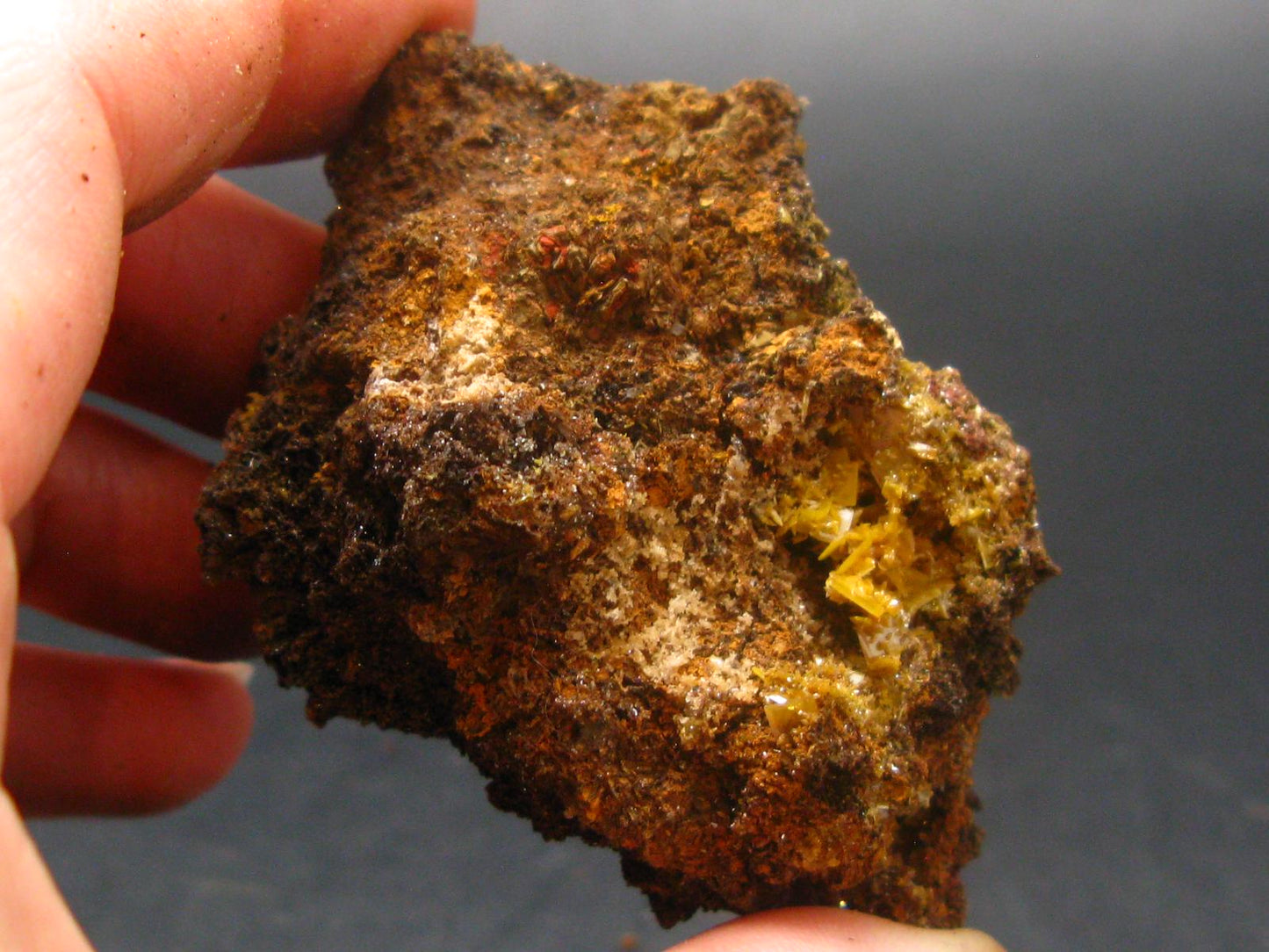 Wulfenite Cluster From Arizona - 2.4"