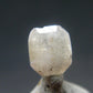 Rare Gem Kovdorskite Cut Stone from Russia - 0.99 Carats