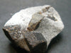 A Perfect Staurolite Crystal on Matrix from Russia - 1.4"