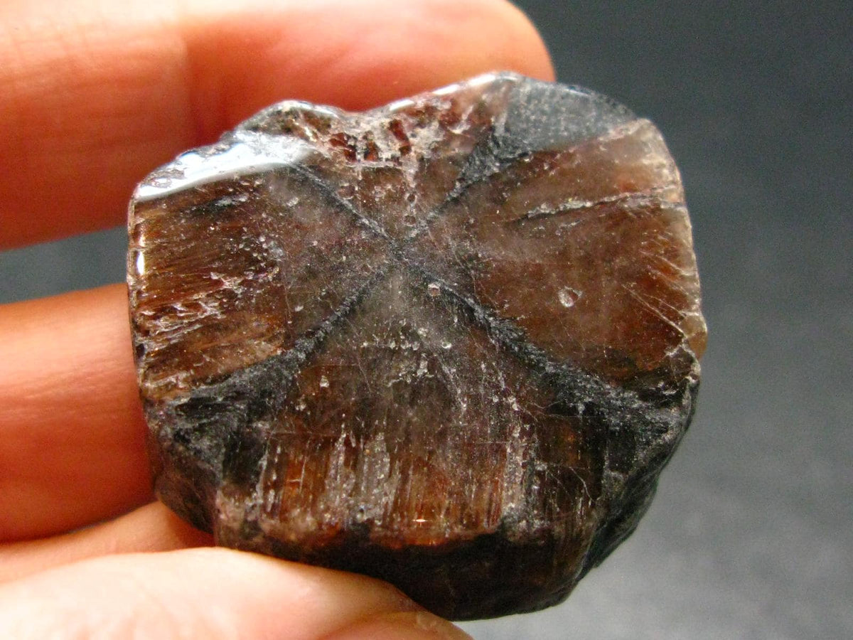 Andalusite Chiastolite Crystal From China - 1.3" - 25.43 Grams