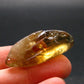 Nice Untreated Unheated Citrine Tumbled Stone from Zambia - 52.0 Carats - 1.5"