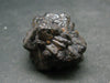 Very rare Z-Stone (Limonite after Marcasite) from Sahara Dessert, Egypt - 1.2" - 24.5 Grams