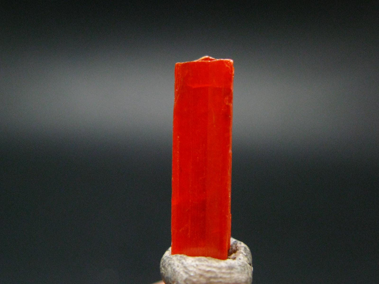 Large Orange Crocoite Crystal From Australia - 0.8" - 6.9 Carats
