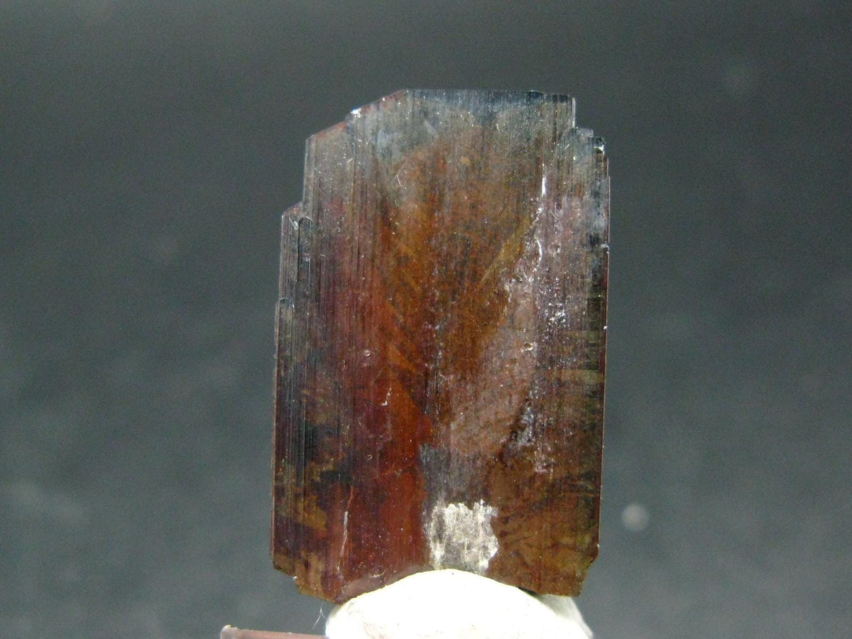 Large Brookite Crystal From Pakistan - 1.40 Grams - 26 mm