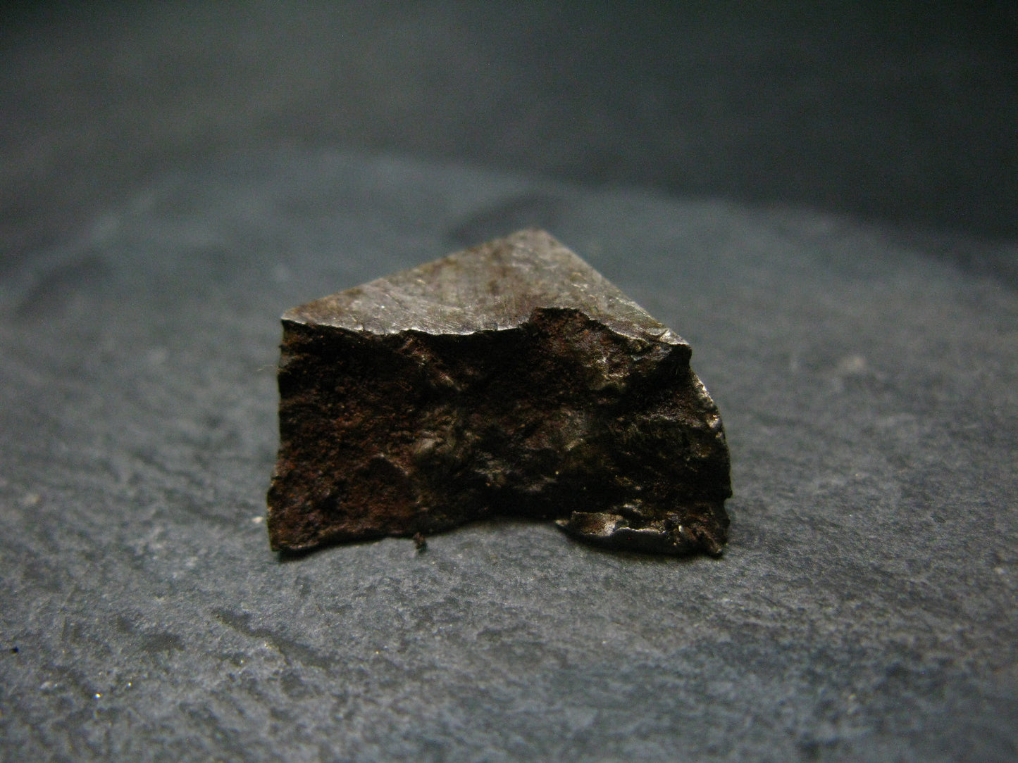 Large Gibeon Meteorite From Namibia - 0.9" - 10.83 Grams