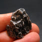 Campo Del Cielo Meteorite from Argentina - 16.06 Grams - 1.0"