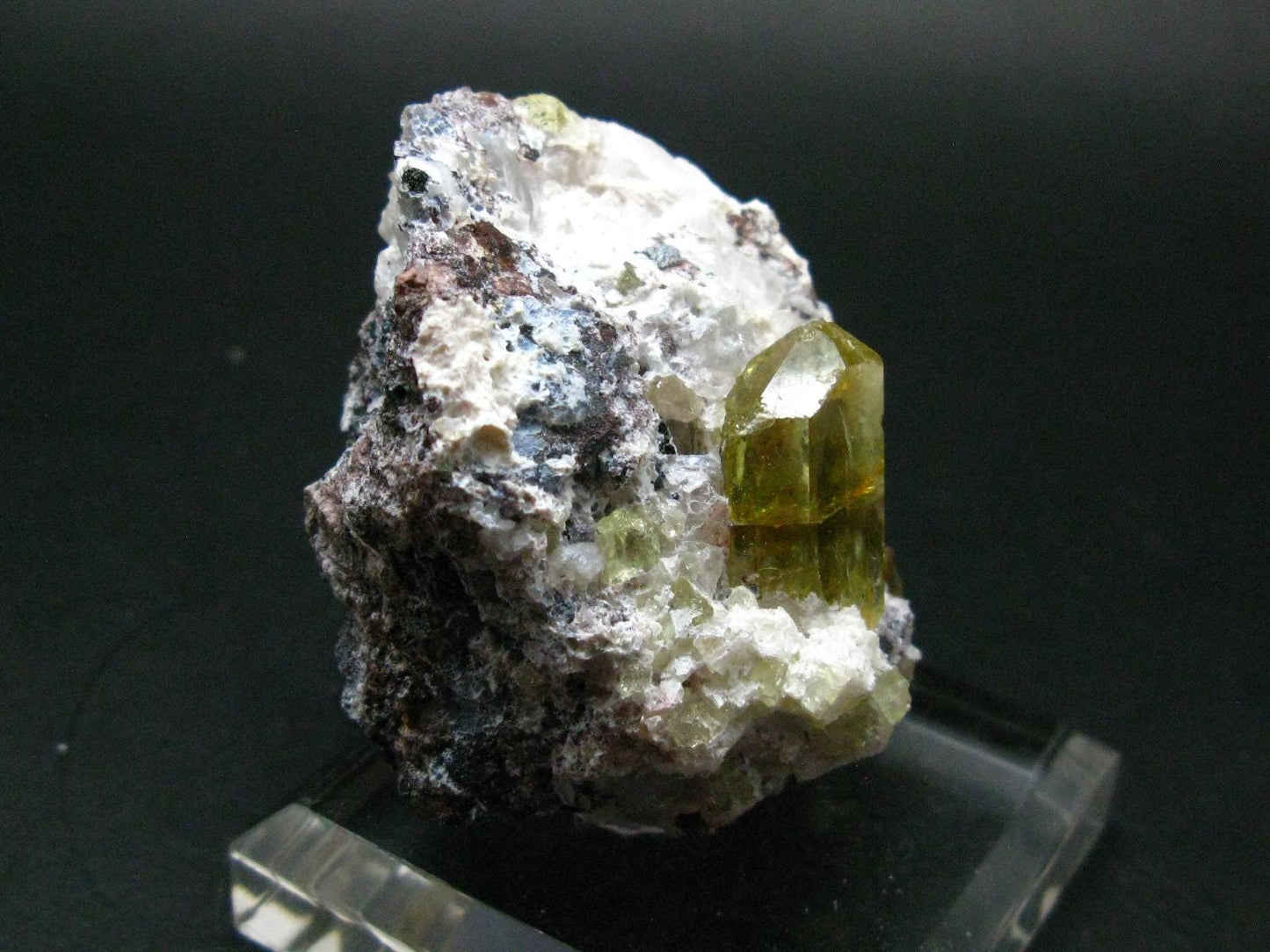 Museum Golden Apatite Cluster From Mexico - 2.2"