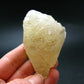 Huge Dogtooth Stellar Beam Calcite Crystal From Tennessee USA - 2.6" - 88.65 Grams