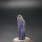 Fine Gem Tanzanite Zoisite Crystal From Tanzania - 7.55 Carats - 0.7"
