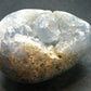 Natural Sky Blue Celestite Celestine Egg from Madagascar - 2.8"