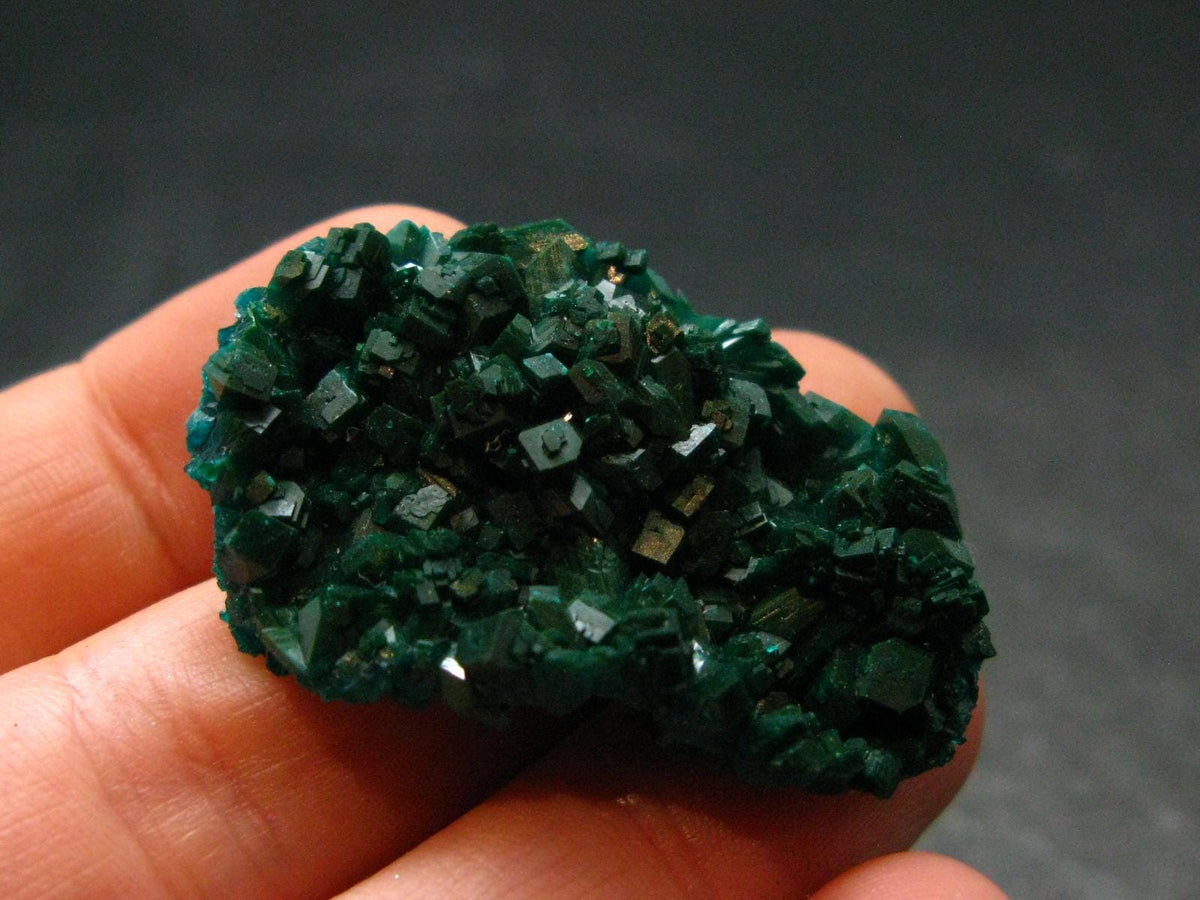 Very Nice Dioptase Cluster from Congo - 1.5" - 7.73 Grams