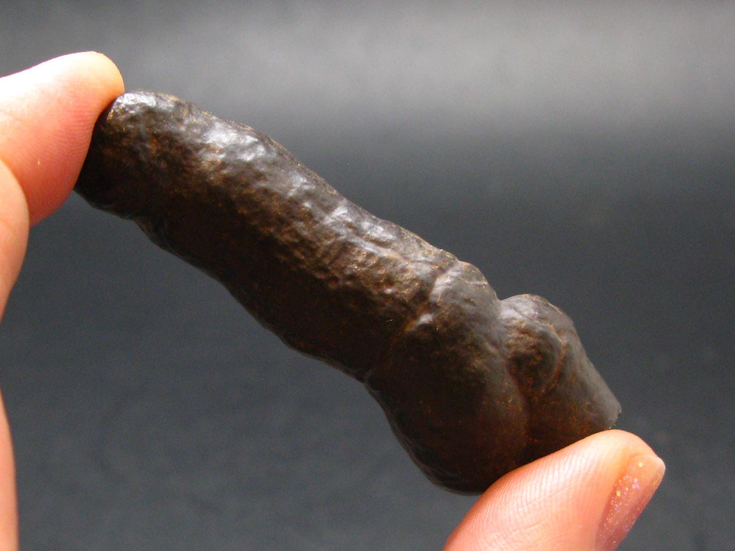 Rare Prophecy Stone Limonite after Pyrite From Egypt - 2.3" - 34.79 Grams