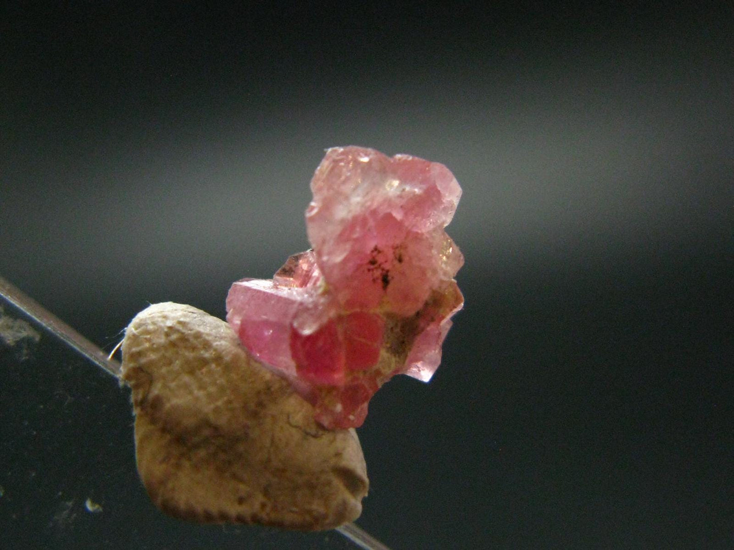 Rare Pezzottaite Crystal from Madagascar - 1.55 Carats - 0.4"