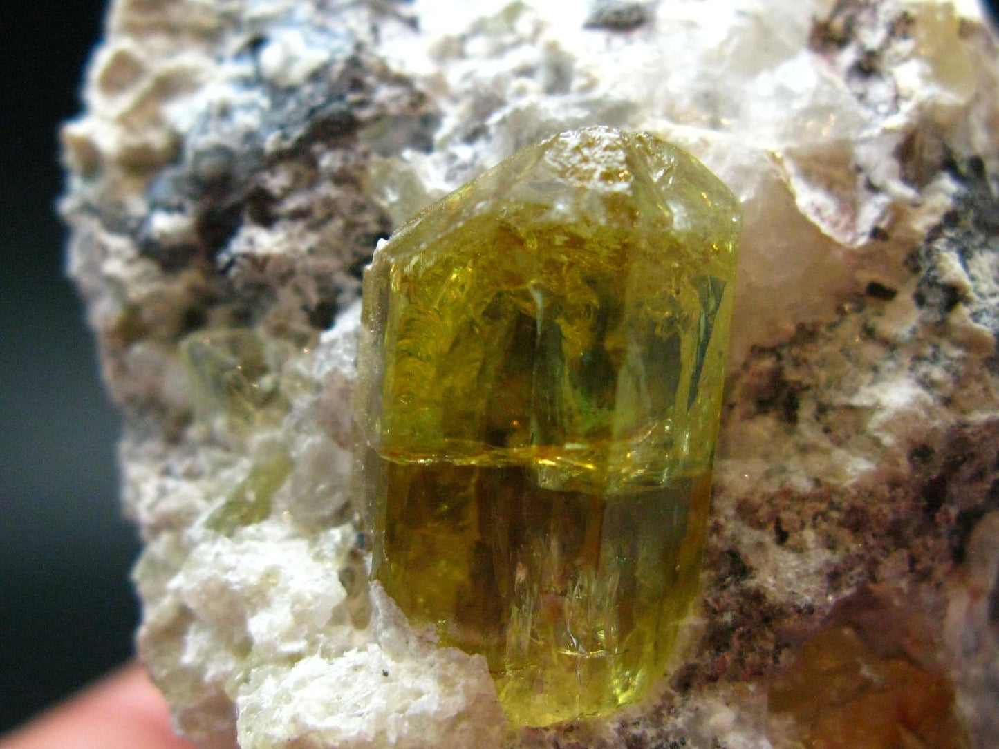 Museum Golden Apatite Cluster From Mexico - 2.2"