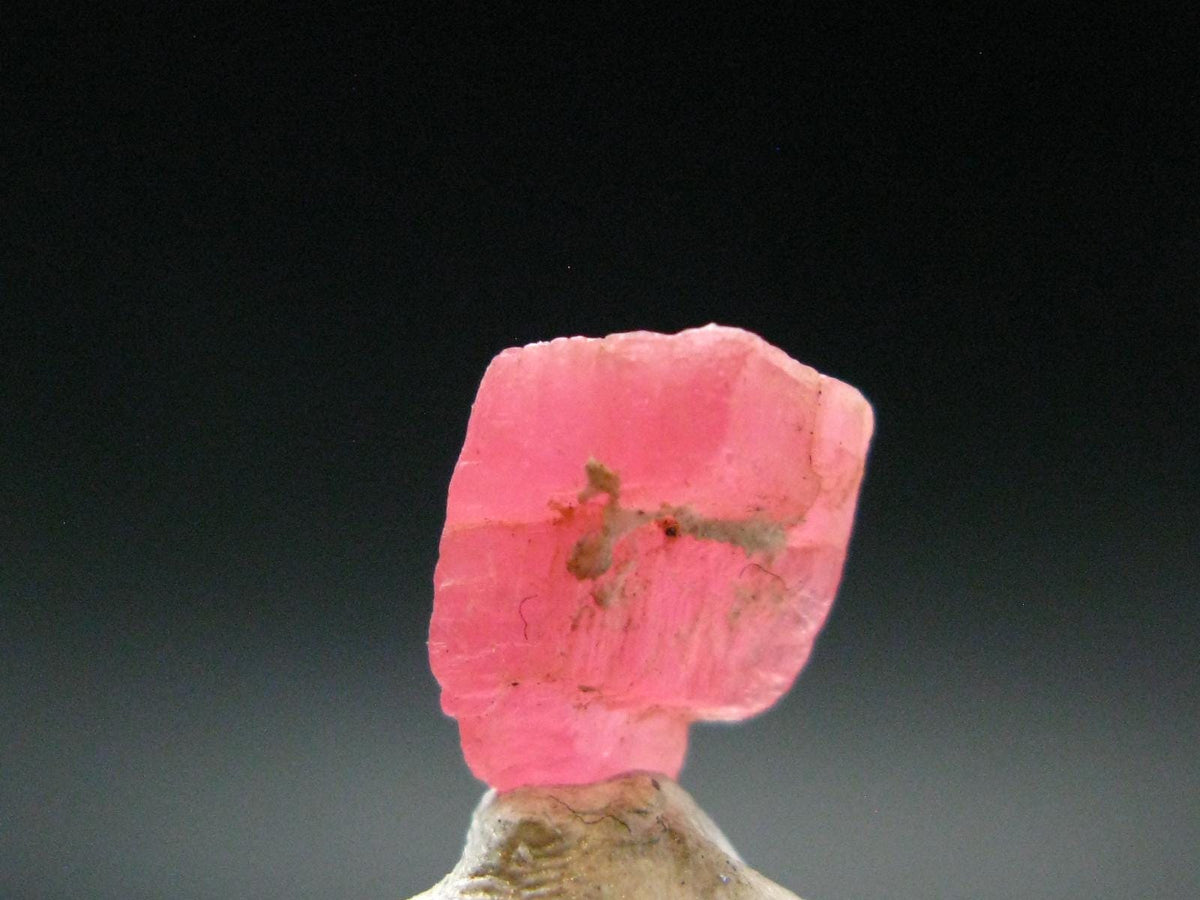 Rhodochrosite Gem Crystal From Colorado - 4.05 Carats - 0.4"
