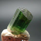 Green Tourmaline Crystal From Brazil - 0.6" - 9.60 Carats
